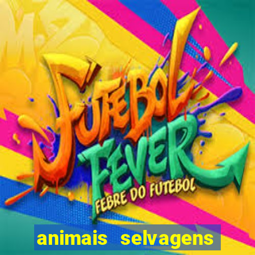 animais selvagens fotos e nomes